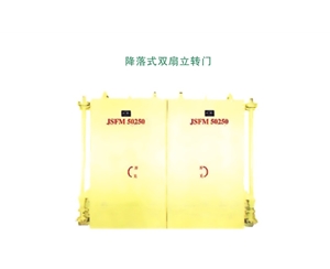 吉林降落式双扇立转门